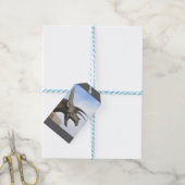Triceratops Dinosaur Cadeaulabel (Met Touw)