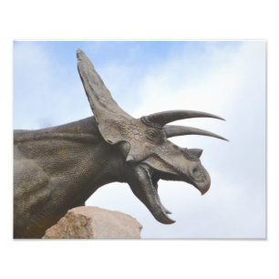 Triceratops Dinosaur Foto Afdruk