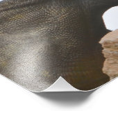 Triceratops Dinosaur Foto Afdruk (Hoek)