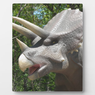 Triceratops dinosaur fotoplaat