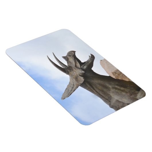 Triceratops Dinosaur Magneet (Rechterzijde)