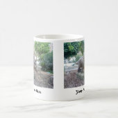 Triceratops Dinosaur Name Mok (Center)