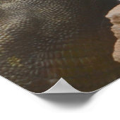 Triceratops Dinosaur Poster (Hoek)