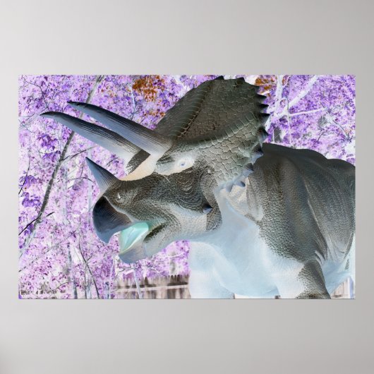 Triceratops Dinosaur Poster (Voorkant)