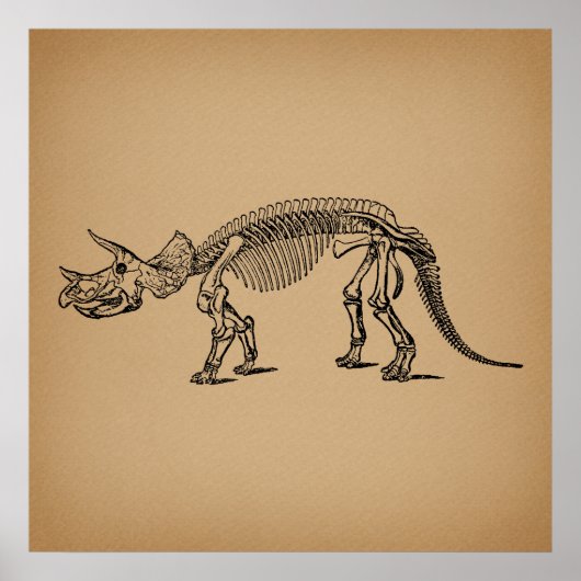 Triceratops Dinosaur Skeleton Prehistorische Art Poster (Voorkant)
