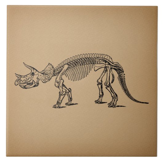 Triceratops Dinosaur Skeleton Prehistorische Art Tegeltje (Voorkant)