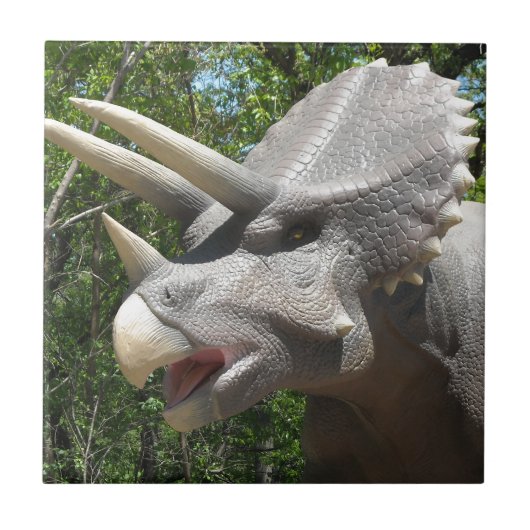 Triceratops dinosaur tegeltje (Voorkant)