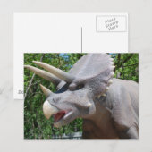Triceratops/Dinosaurs Briefkaart (Voorkant / Achterkant)
