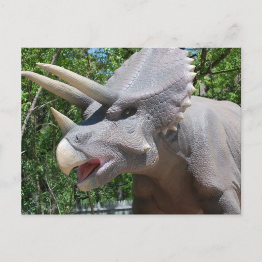Triceratops/Dinosaurs Briefkaart (Voorkant)