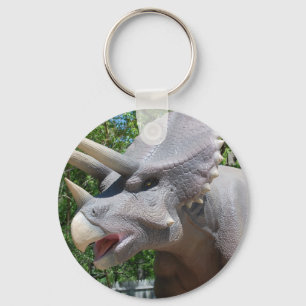 Triceratops Dinosaurs Sleutelhanger