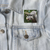 Triceratops Dinosaurs Vierkante Button 5,1 Cm (In situ)
