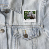 Triceratops Dinosaurs Vierkante Button 5,1 Cm (In situ)