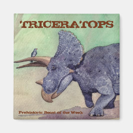Triceratops magneet