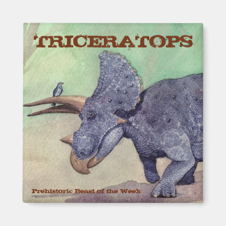 Triceratops magneet