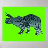 Triceratops Poster (Voorkant)
