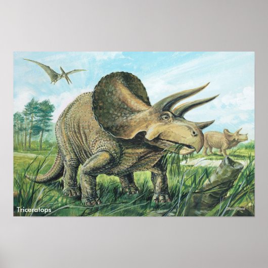 Triceratops Poster (Voorkant)