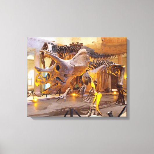 Triceratops Skeleton Canvas Print (Voorkant)