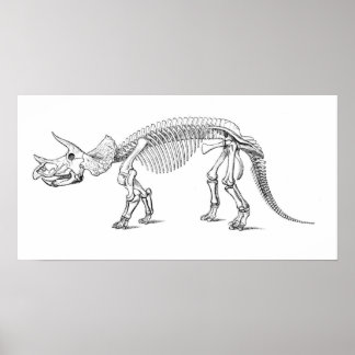 Triceratops Skeleton Poster