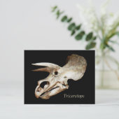 Triceratops Skull Briefkaart (Staand voorkant)