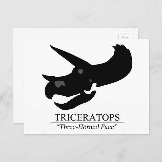 Triceratops Skull Briefkaart (Voorkant / Achterkant)