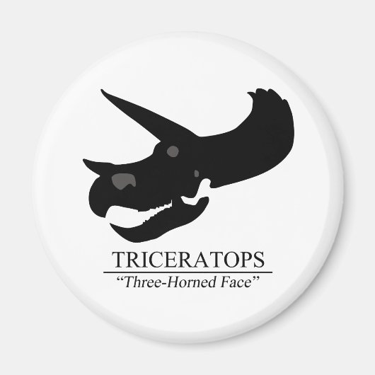 Triceratops Skull Magneet (Voorkant)