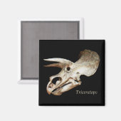 Triceratops Skull Magnet (Voorkant / Achterkant)