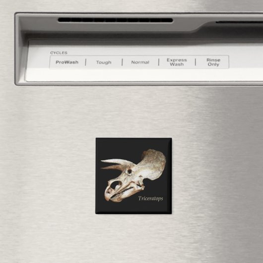 Triceratops Skull Magnet (Insitu (Vaatwasser))