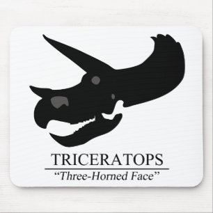 Triceratops Skull Muismat