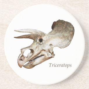 Triceratops Skull Onderzetter