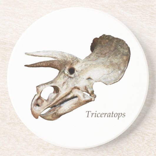 Triceratops Skull Onderzetter (Voorkant)