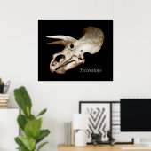 Triceratops Skull Poster (Thuiskantoor)