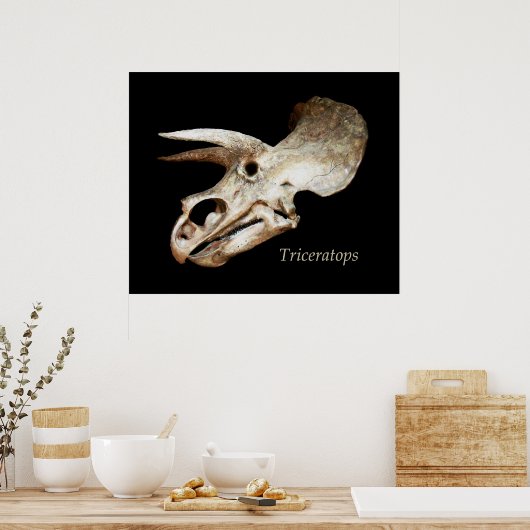 Triceratops Skull Poster (Keuken)