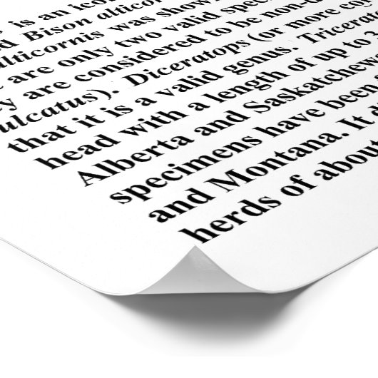 Triceratops skulls poster (Hoek)