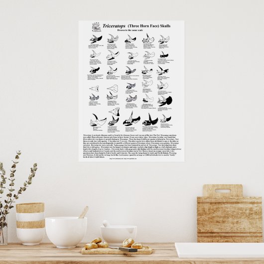Triceratops skulls poster (Keuken)