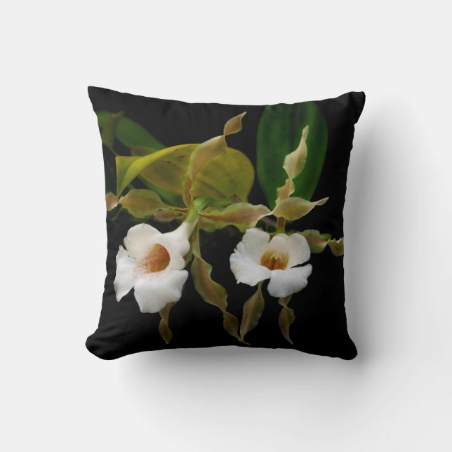 Trichopilia Tortilis Kussen (Voorkant)