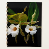 Trichopilia Tortilis Planner (Voorkant)