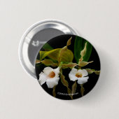 Trichopilia Tortilis Ronde Button 5,7 Cm (Voorkant /achterkant)