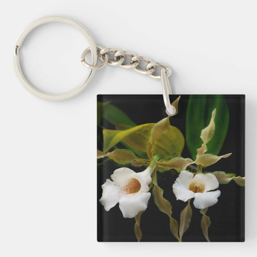 Trichopilia Tortilis Sleutelhanger (Voorkant)