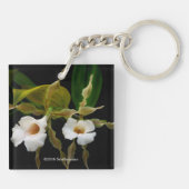 Trichopilia Tortilis Sleutelhanger (Achterkant)