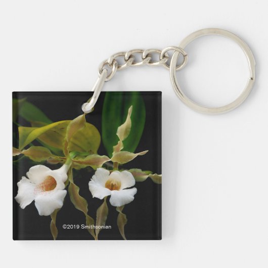 Trichopilia Tortilis Sleutelhanger (Achterkant)