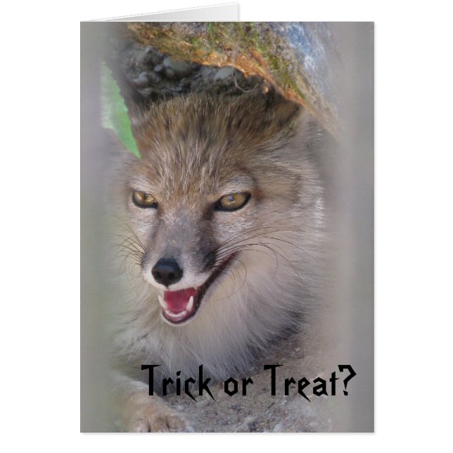 trick or treat? (Voorkant)