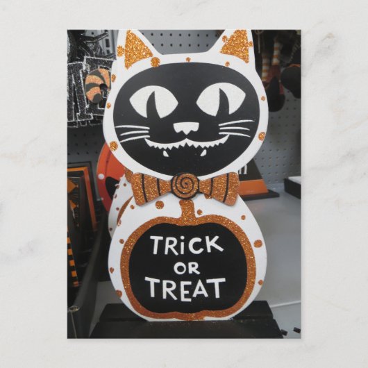 Trick or treat Cat Briefkaart (Voorkant)