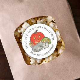 Trick or treat Cute Cat Stickers