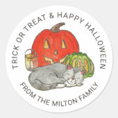 Trick or treat Cute Cat Stickers (Voorkant)