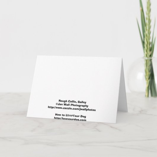 Trick or treat! De Kaarten van Halloween (Achterkant)