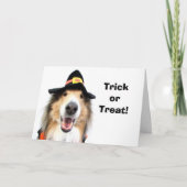 Trick or treat! De Kaarten van Halloween (Voorkant)