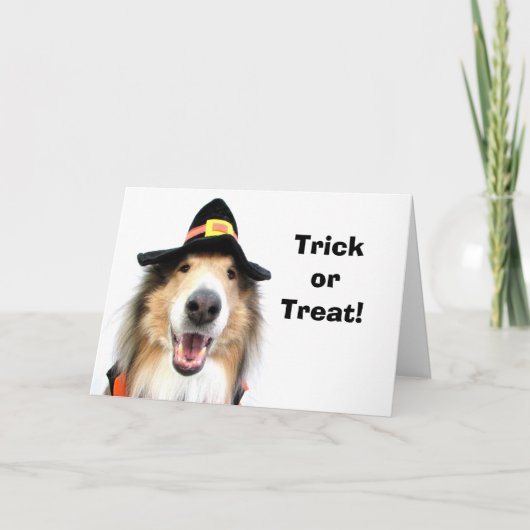 Trick or treat! De Kaarten van Halloween (Voorkant)