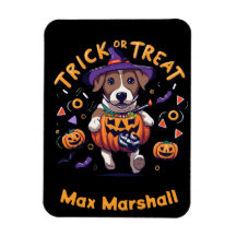 Trick or treat Dog - Ghoul Gang Geel Zwart