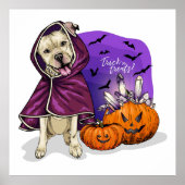 Trick or treat Dog Poster (Voorkant)