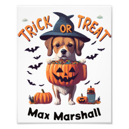 Trick or treat Dog - Vervloekte Cuties Sinaasappel Foto Afdruk